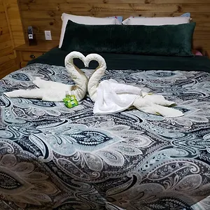 check availability